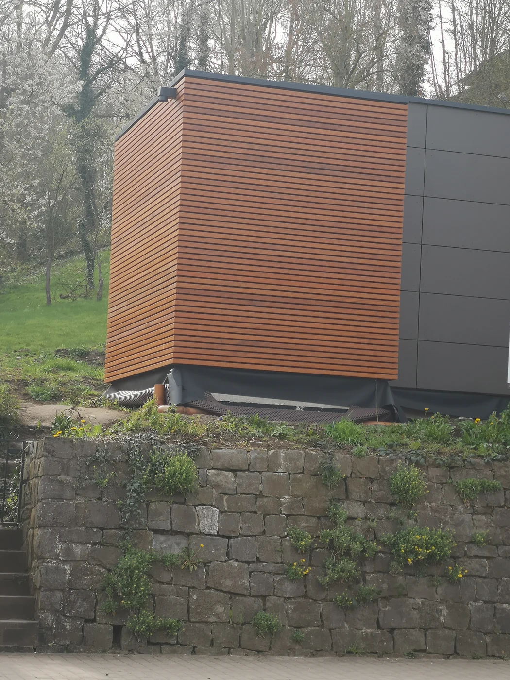 Bardage bois horizontal d’une petite annexe derrière un muret
